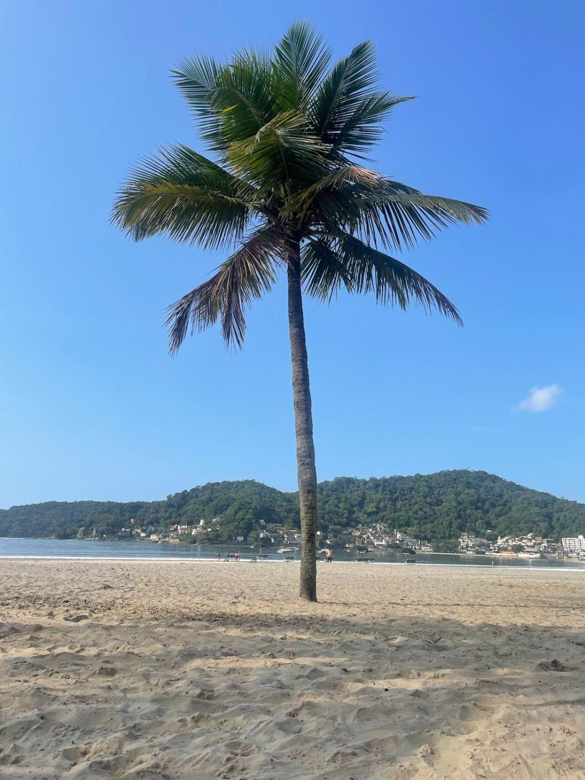 Salaliving 405 Apartamento São Vicente